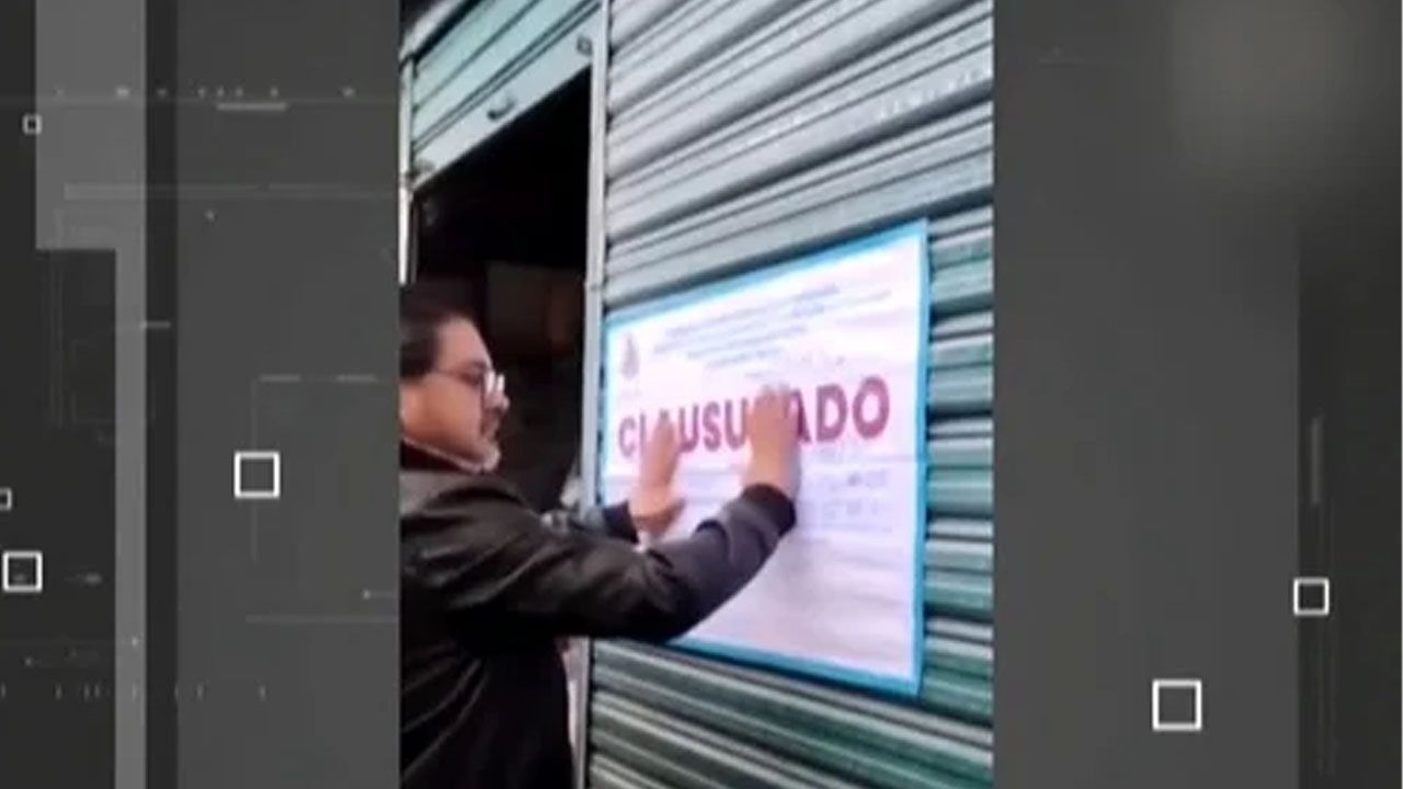 Clausuran puestos en mercado La Pampa por venta ilegal de loritos; rescatan 14 aves silvestres