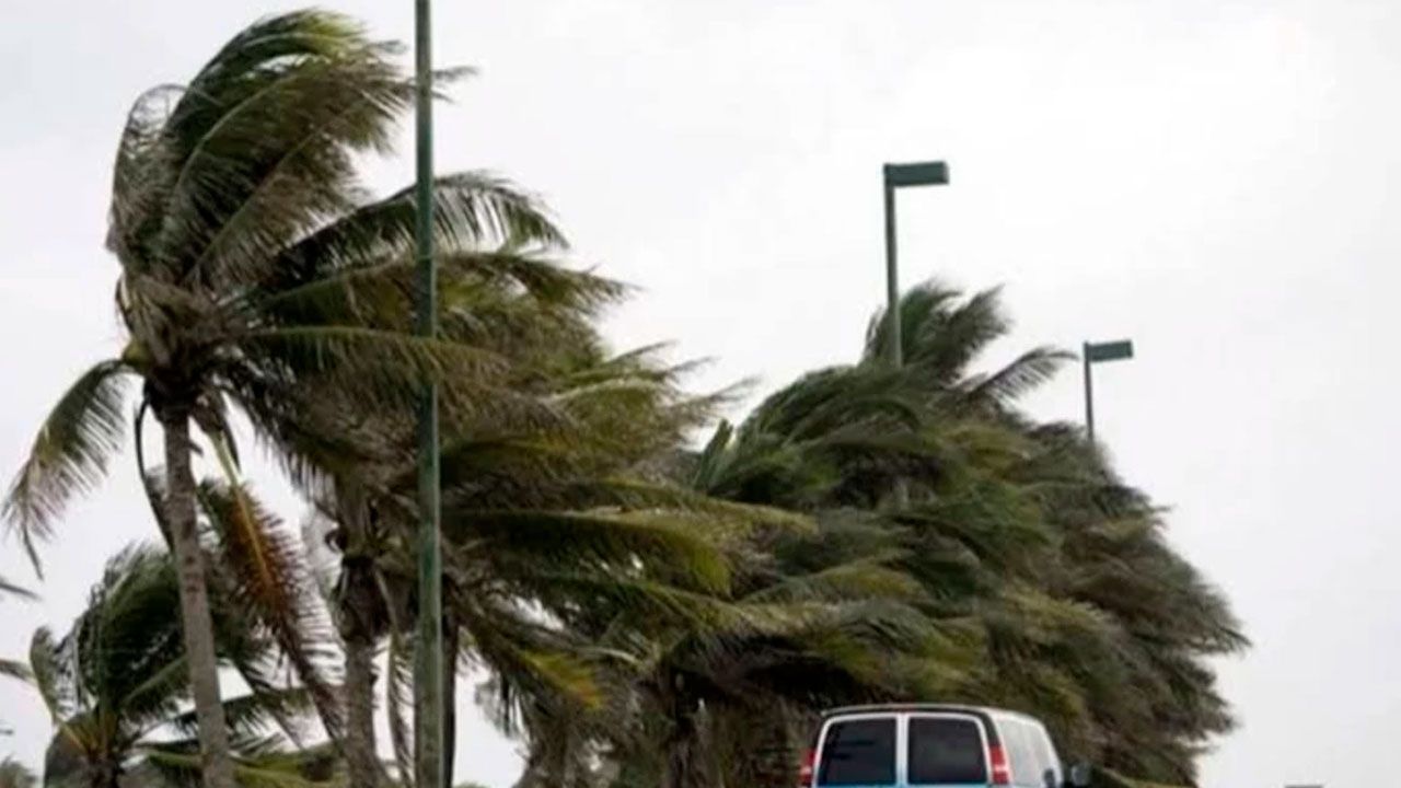 Alerta naranja por fuertes vientos y descenso de temperaturas en Santa Cruz