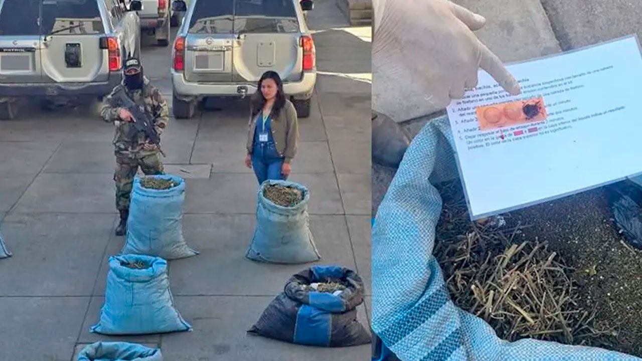 Hallan siete bolsas con marihuana abandonadas en cochabamba
