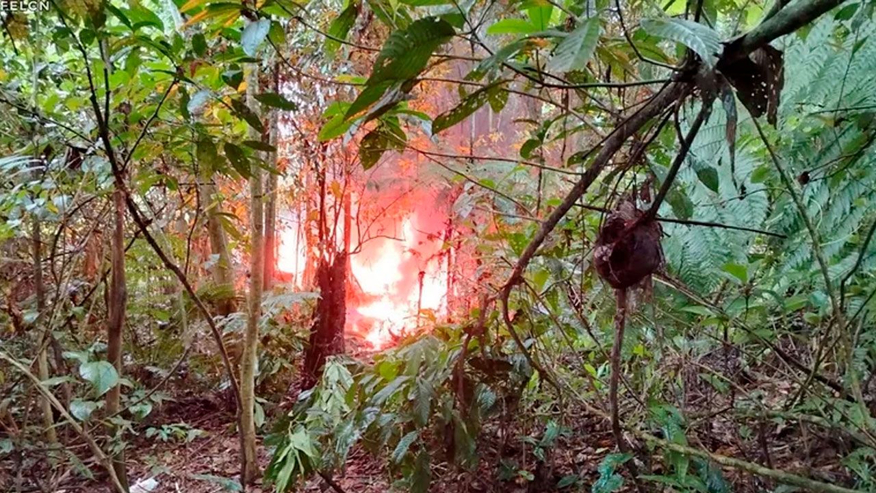 FELCN destruye cuatro fábricas móviles de cocaína en Villa Tunari