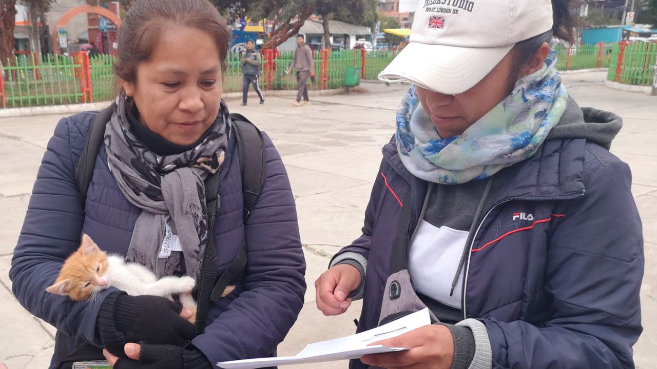CEMZOO realizó 156 cirugías a mascotas durante el primer semestre