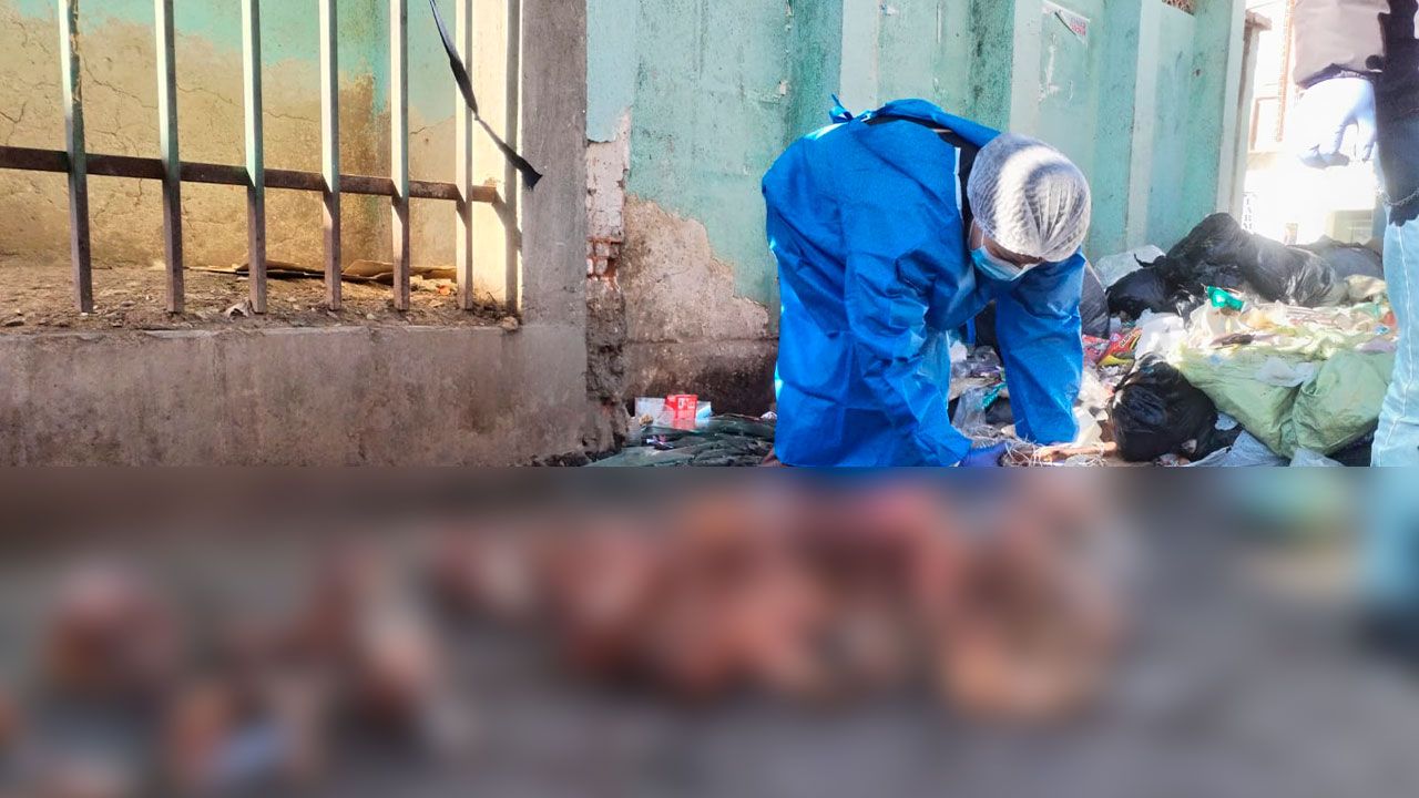 INLASA confirma que restos hallados en contenedores pertenecen a canes
