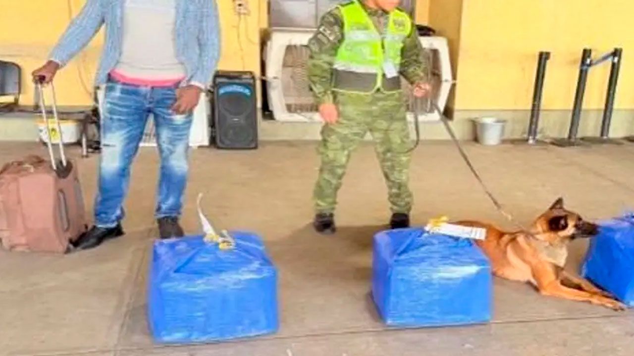 Interceptan más de 160 kilos de cocaína en dos operativos en el aeropuerto Viru Viru