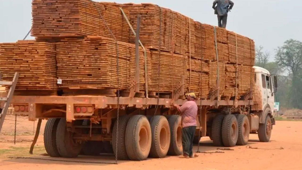 Exportaciones forestales caen y el sector alerta una crisis histórica