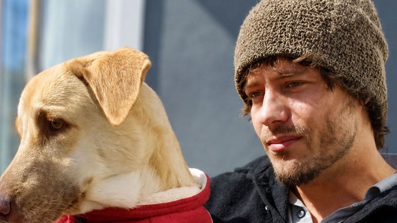 Dejó todo para dedicar su vida al rescate de animales abandonados