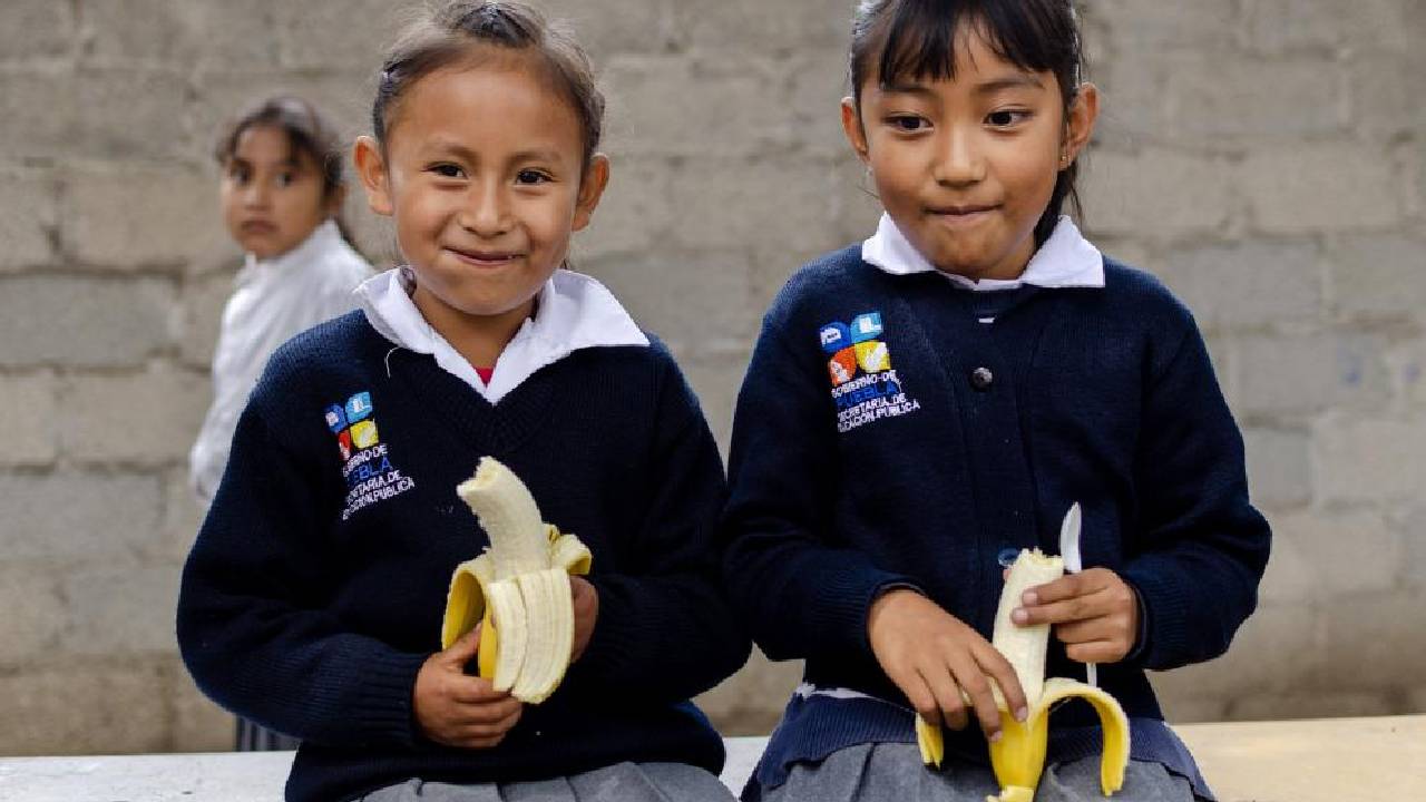 En América Latina 80 millones de niños comen en las escuelas: un estudio evalúa el impacto de la alimentación en la educación