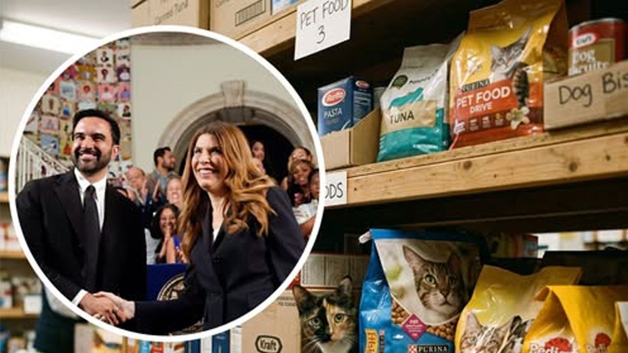 Nueva York destina fondos públicos para alimentar mascotas de familias vulnerables