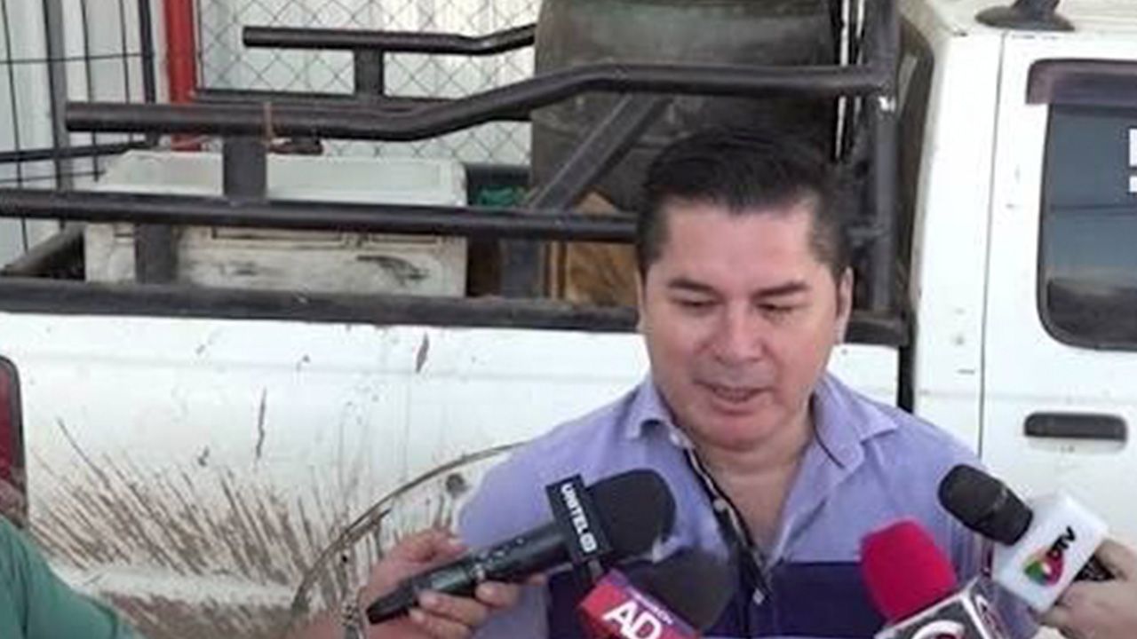 Arroceros alertan que sembrarán solo el 50% por falta de diésel
