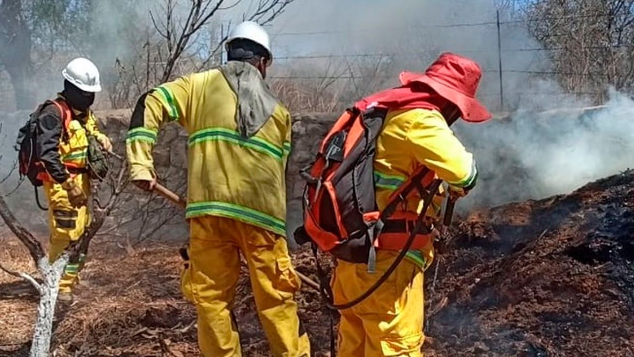 Gobierno despliega refuerzos para combatir incendios en Tarija e investiga las causas de las quemas