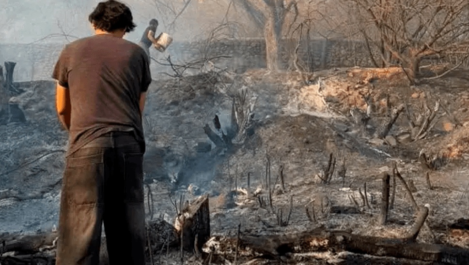 Incendios forestales se registran en Santa Cruz, Tarija y Cochabamba al inicio de la temporada seca