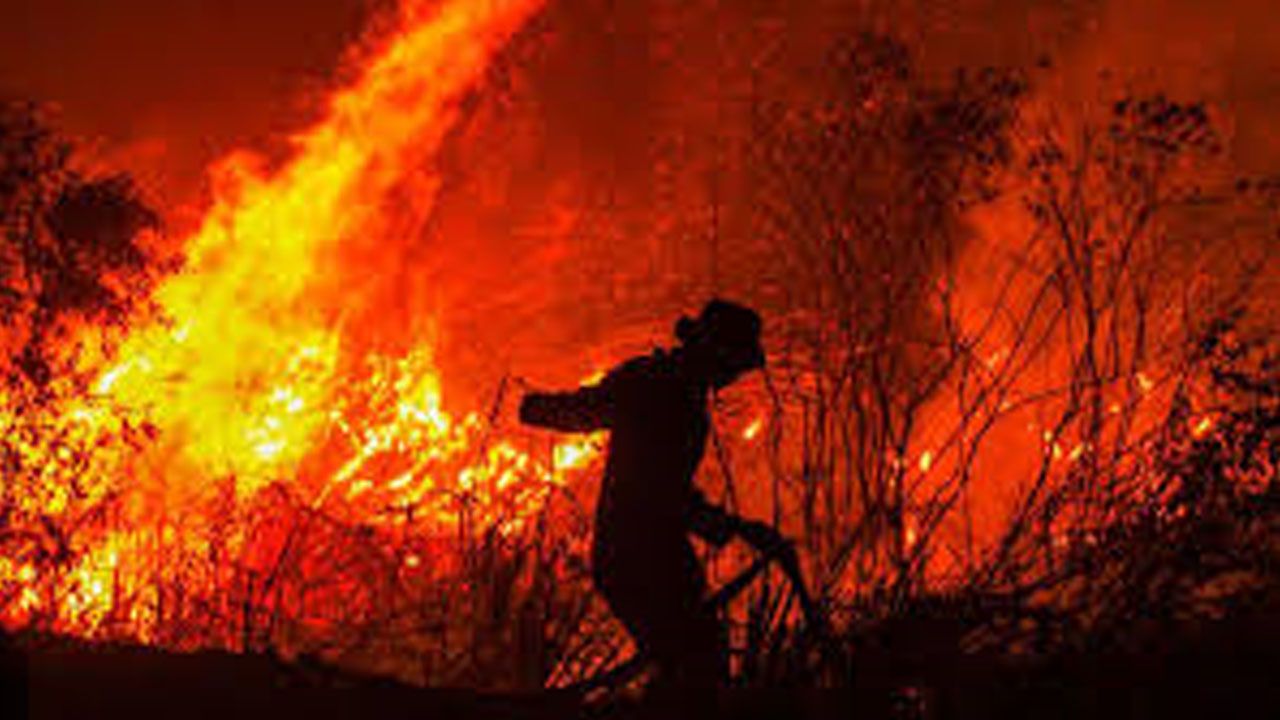 Otuquis bajo fuego: Santa Cruz enfrenta emergencia por incendios