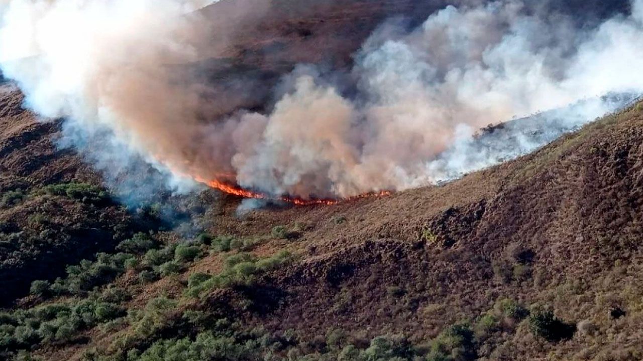 Bolivia reporta 1.167 focos de calor en las últimas 24 horas