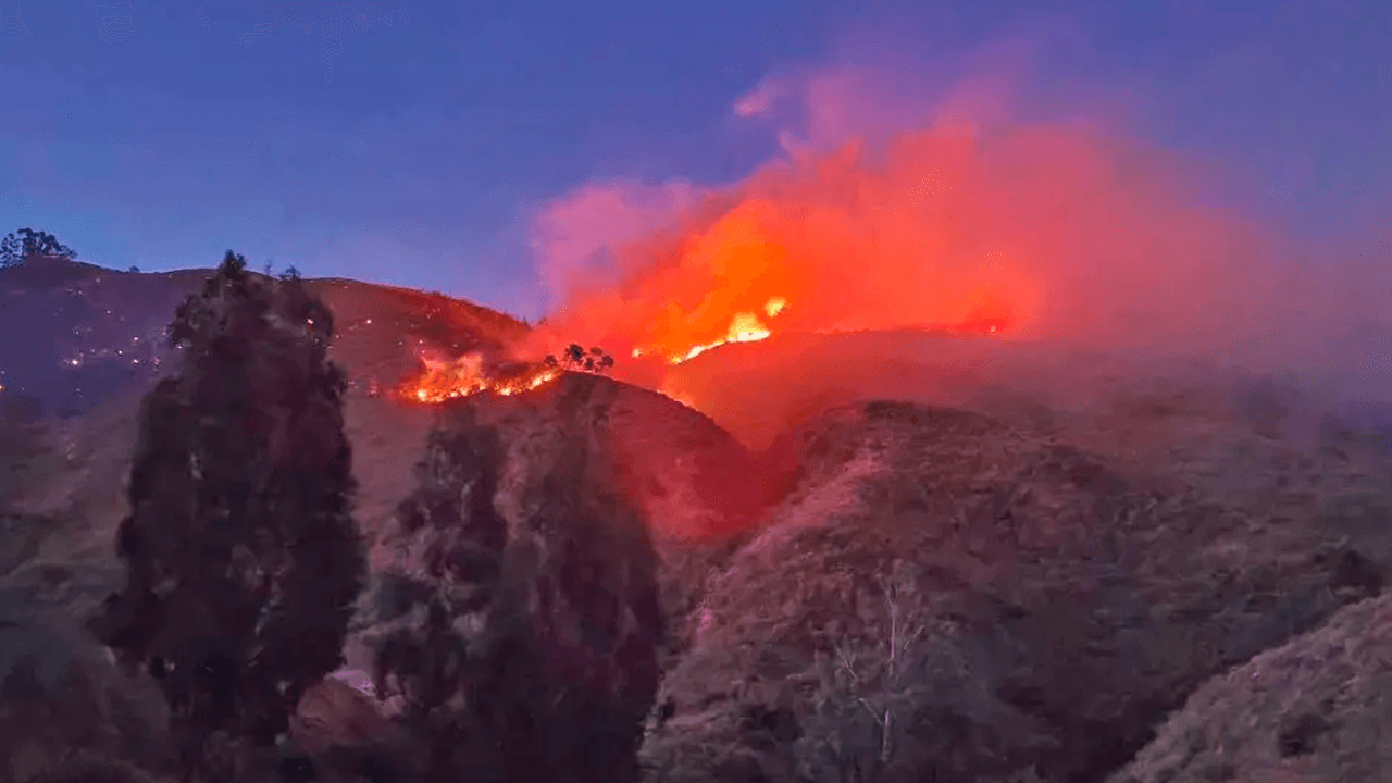 Incendio forestal se reactiva en Totora y amenaza con ampliar los daños