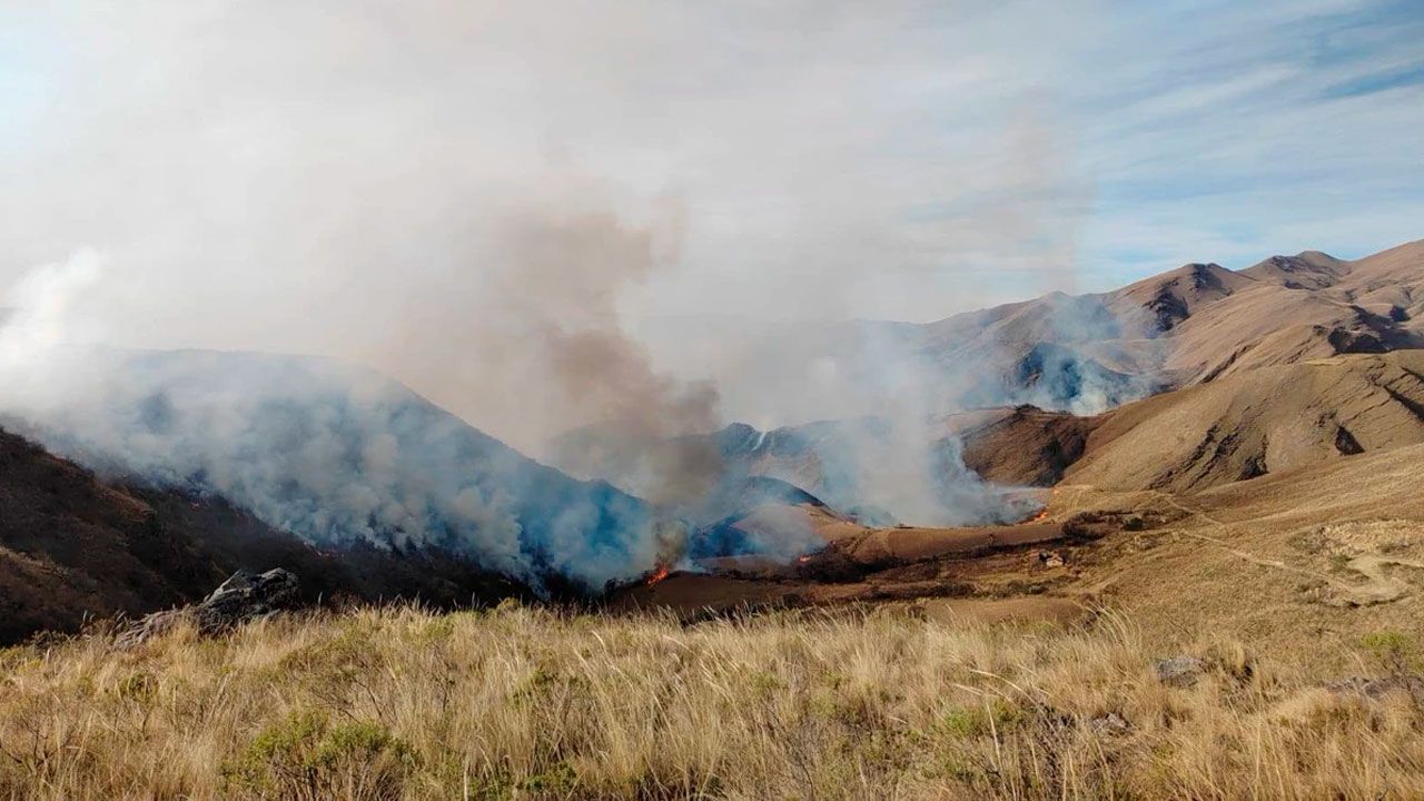 San Lorenzo concentra la mayor superficie afectada por incendios forestales en Tarija