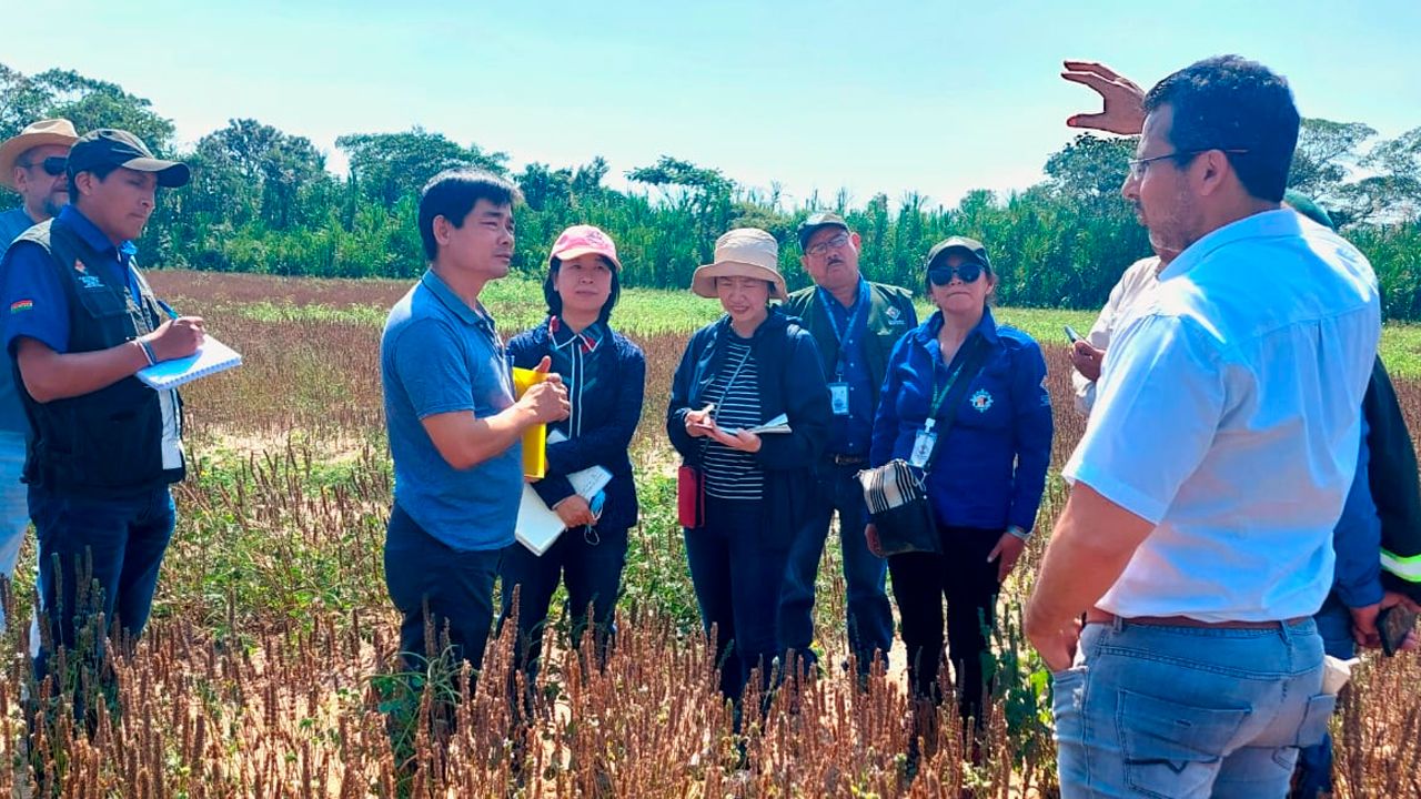 Comisión técnica de China inspecciona predios productivos de chia en el norte de Santa Cruz