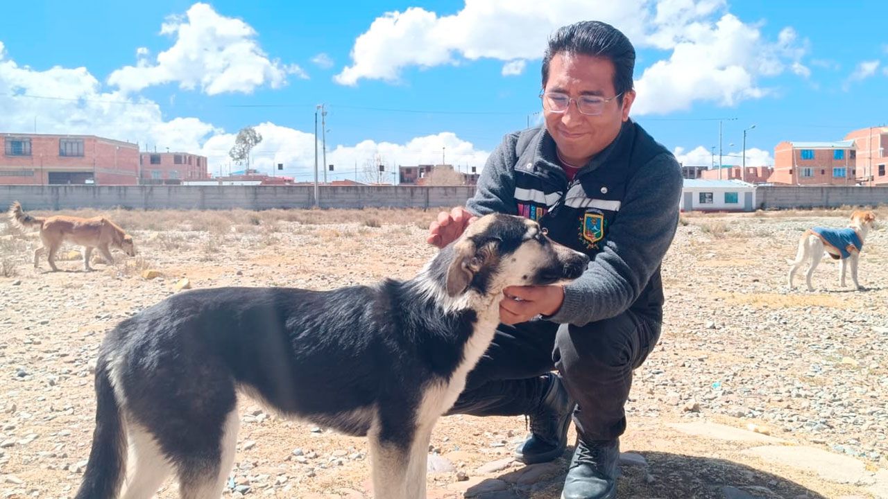 San Roque se celebra con una jornada para mascotas en El Alto