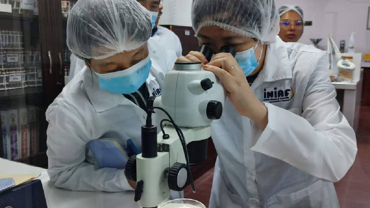 Informe sobre la visita de la comisión técnica de China al SENASAG: Perspectivas de Exportación de Chía