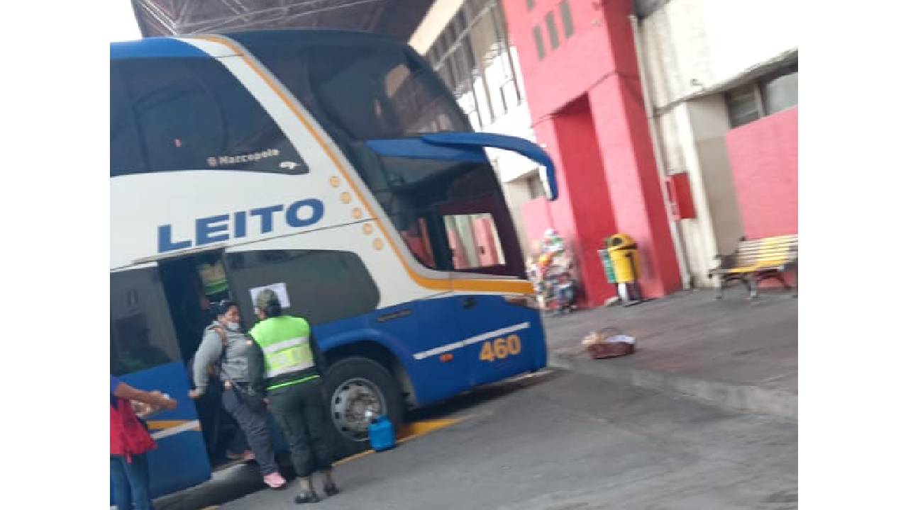 Detenida en la terminal bimodal a presunta pildorita que acechaba pasajeros