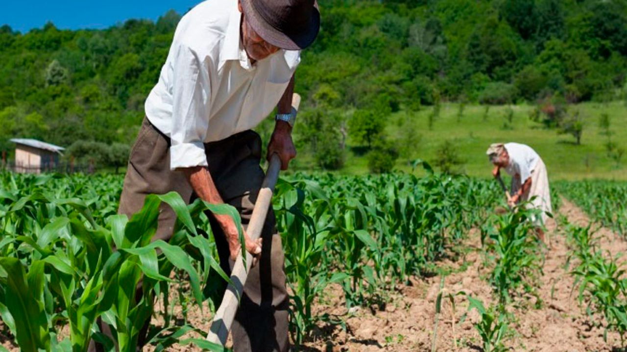 Productores cuestionan falta de avances para el agro en Tarija