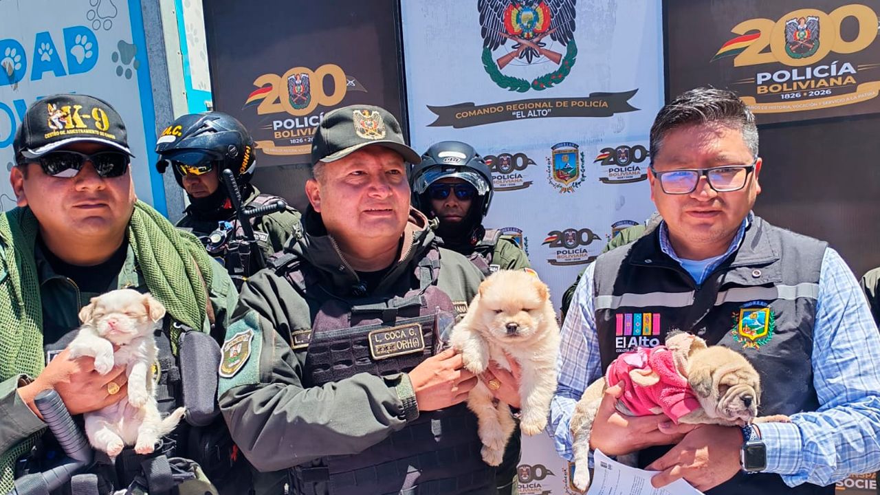 Policía y Alcaldía rescatan a 46 animales víctimas de la venta clandestina