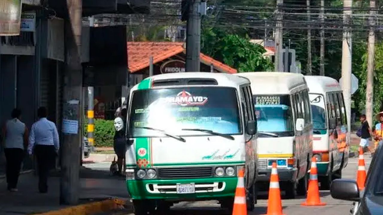 Ingenieros respaldan plan de buses eléctricos