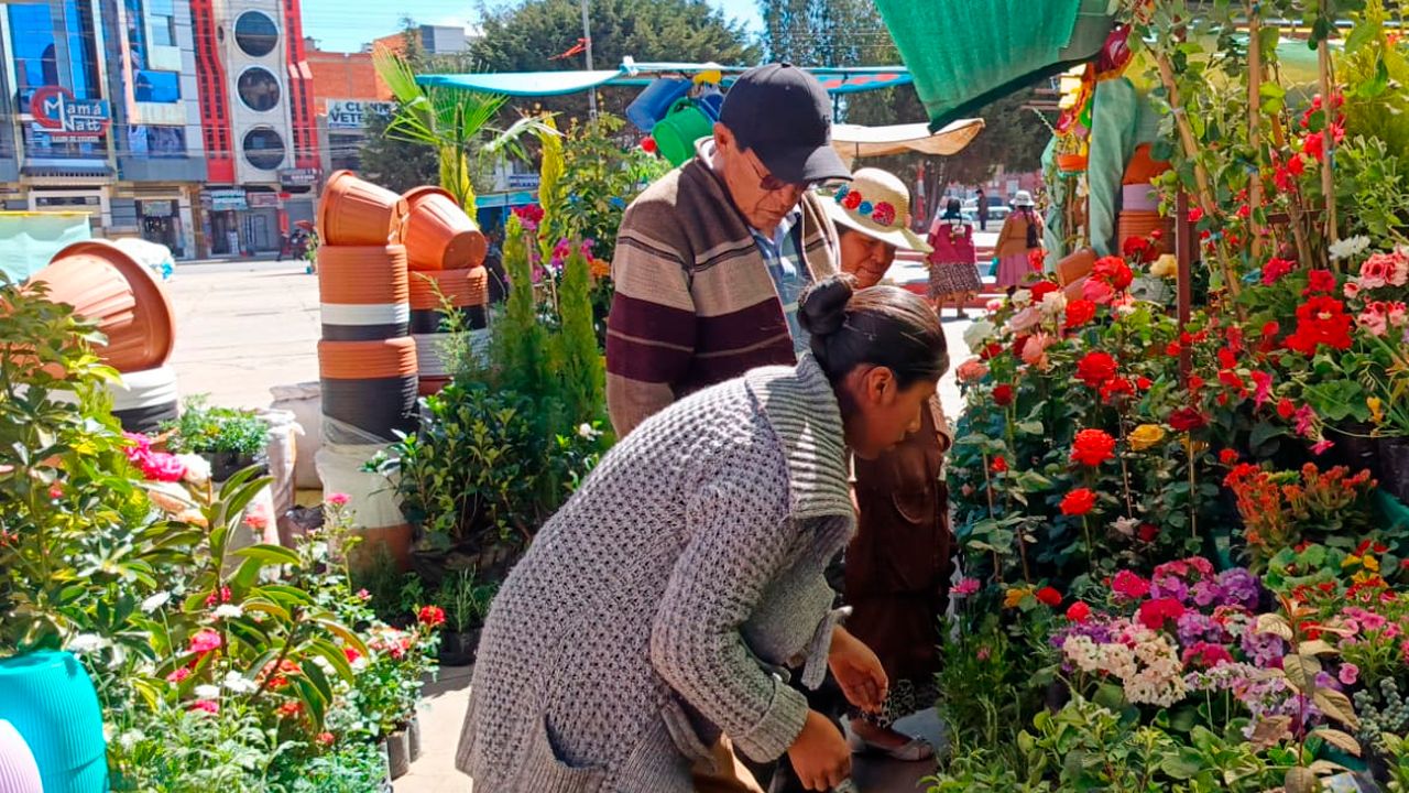 ¡El Alto ecológico! Relanzan Feria de floricultoras en el Distrito 3