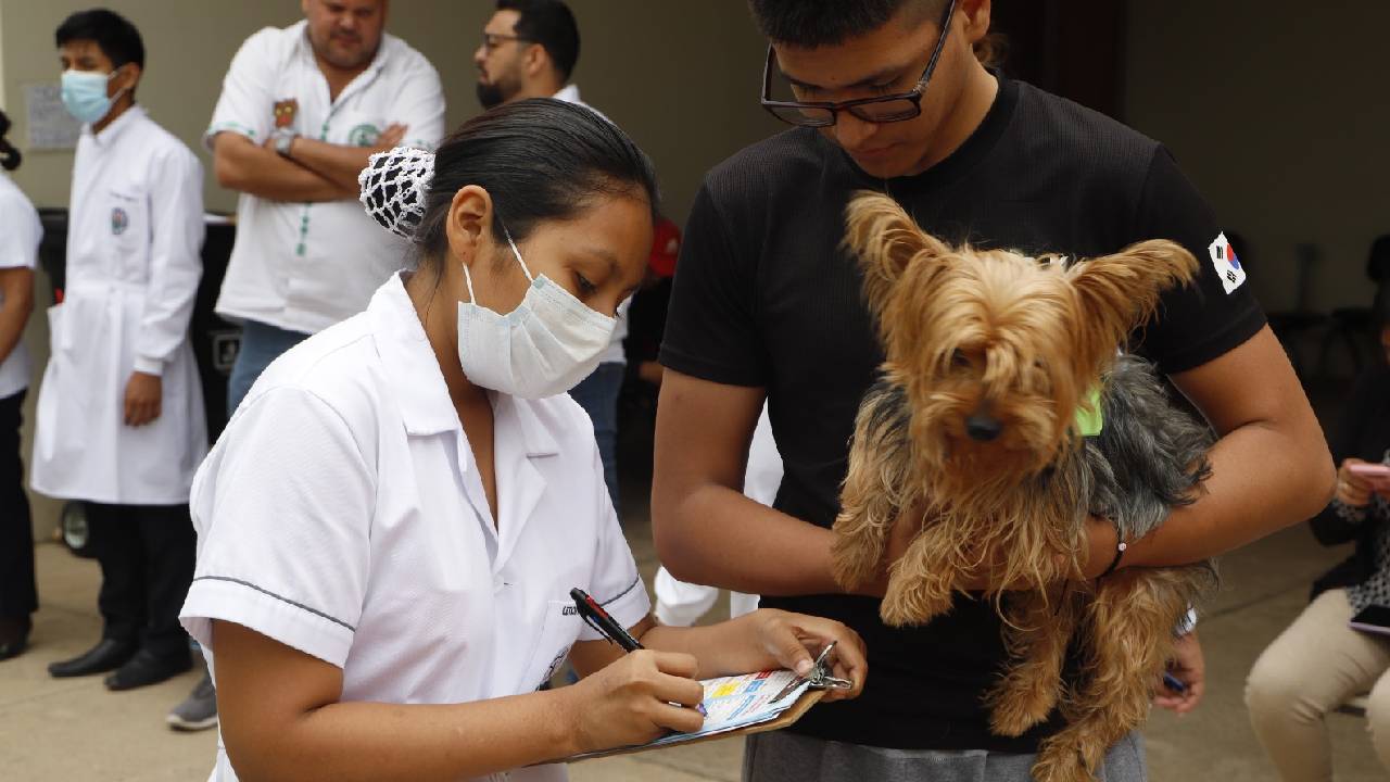 Más de 15.000 personas serán desplazadas para la campaña contra la rabia canina y felina en Santa Cruz