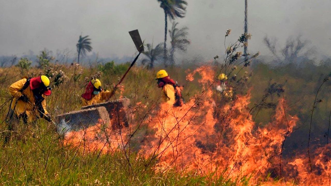 Gobernación declara “Alerta Roja” por incendios forestales en el departamento cruceño
