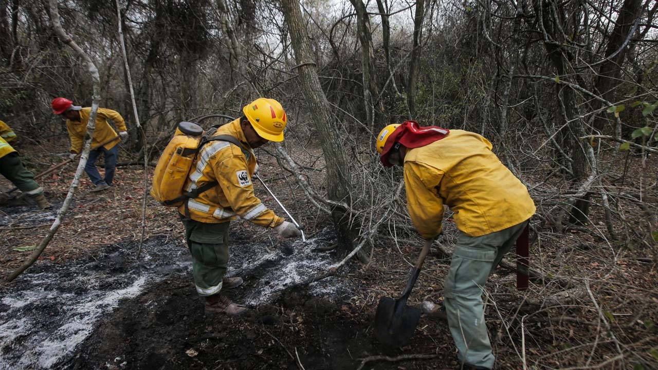 Comitiva de la Gobernación inspecciona los daños del incendio en el parque Kaa Iya; visitará San José y Roboré