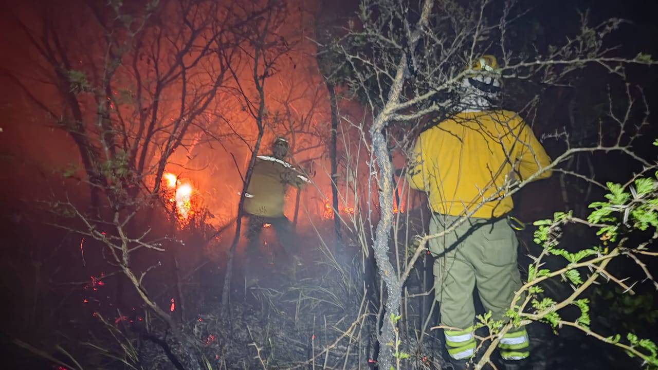 Gobernación pone a disposición sus vehículos para atender las emergencias forestales
