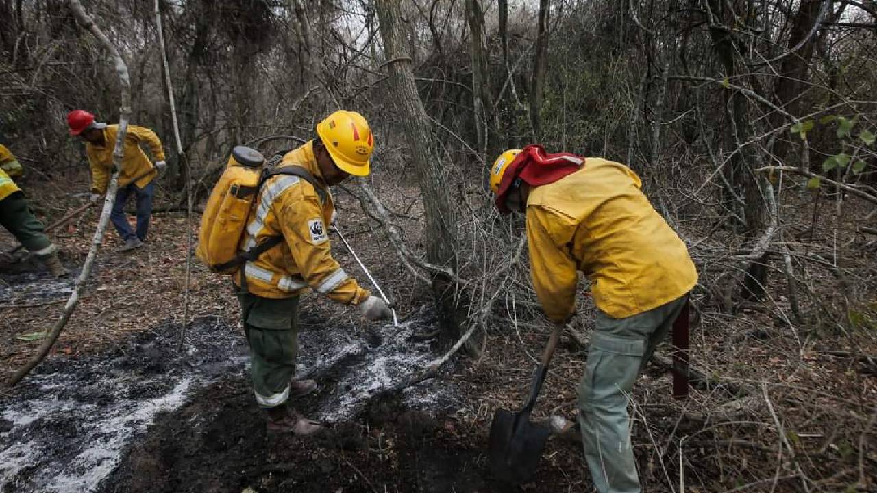 Gobernación solicita a la Autoridad de Bosques y Tierras (ABT) tomar medidas contra las quemas no autorizadas