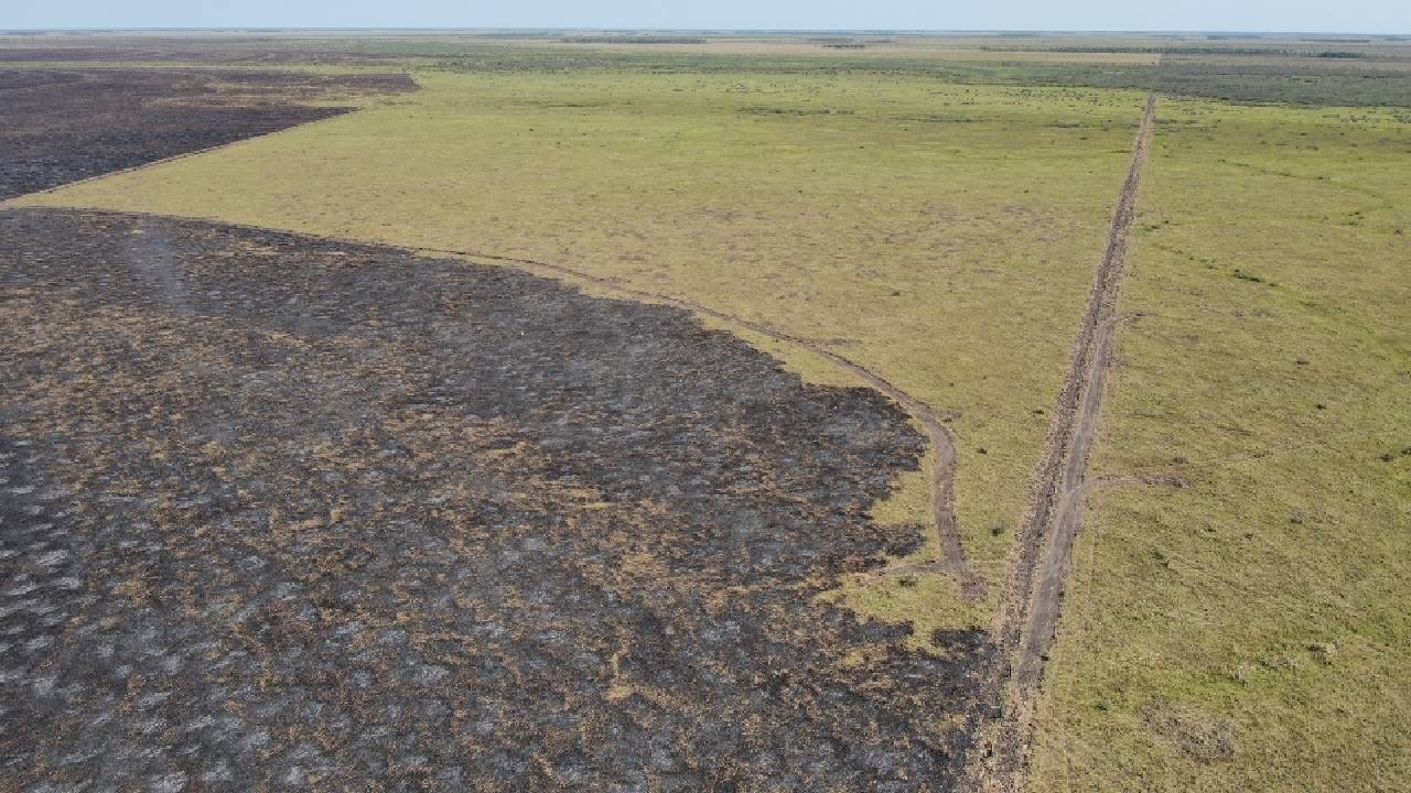 Santa Cruz concluye la semana sin incendios forestales