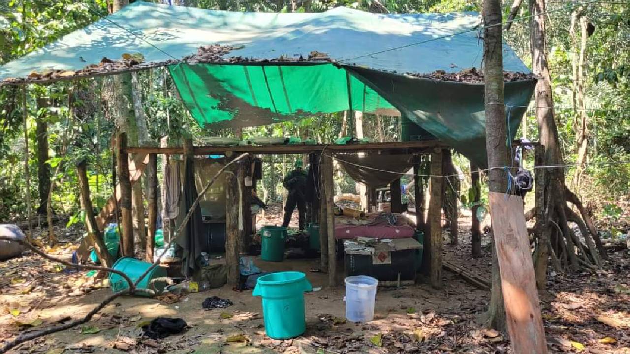 Dos laboratorios de cocaína son destruidos por la FELCN en el Chapare 