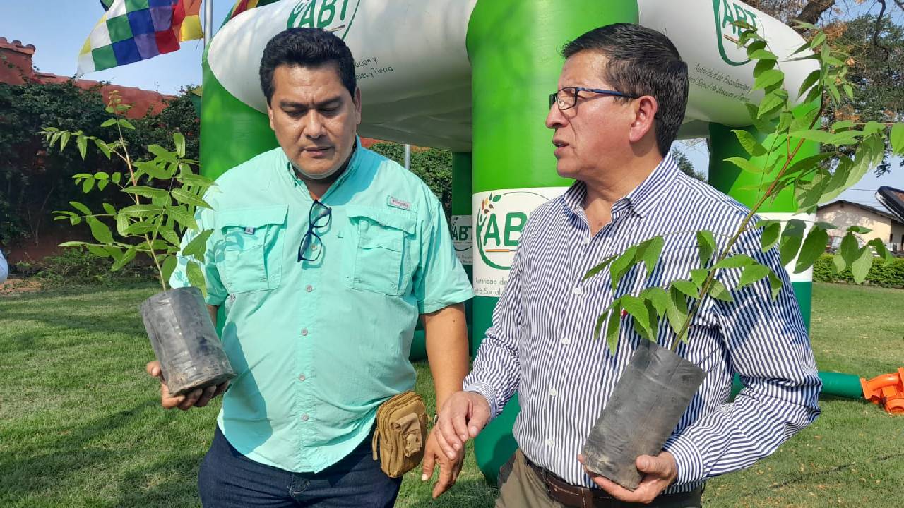 Día Nacional del árbol en Bolivia: Más de 5 mil plantines para incentivar la reforestación