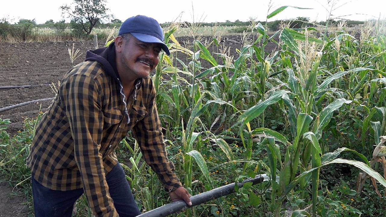 Campesinos del sur de México se organizan para defender al maíz del clima y tránsgénicos