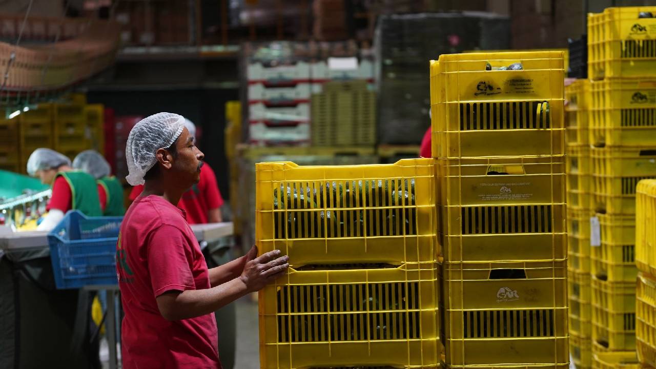 México crea 132.558 empleos formales en septiembre y rompe récord de más de 22 millones