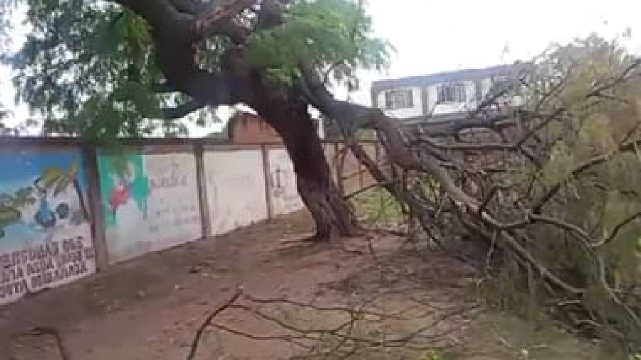 Emacruz Descarta Incumplimiento de Normas de Seguridad en Trágico Incidente de Poda