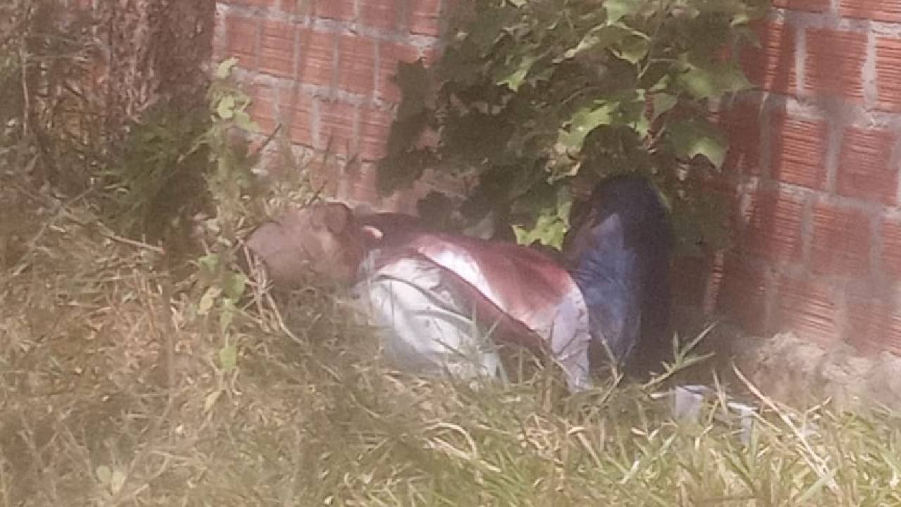 Hallan Cuerpo sin Identificar en Zona Boscosa de Santa Cruz: Autoridades Inician Investigación