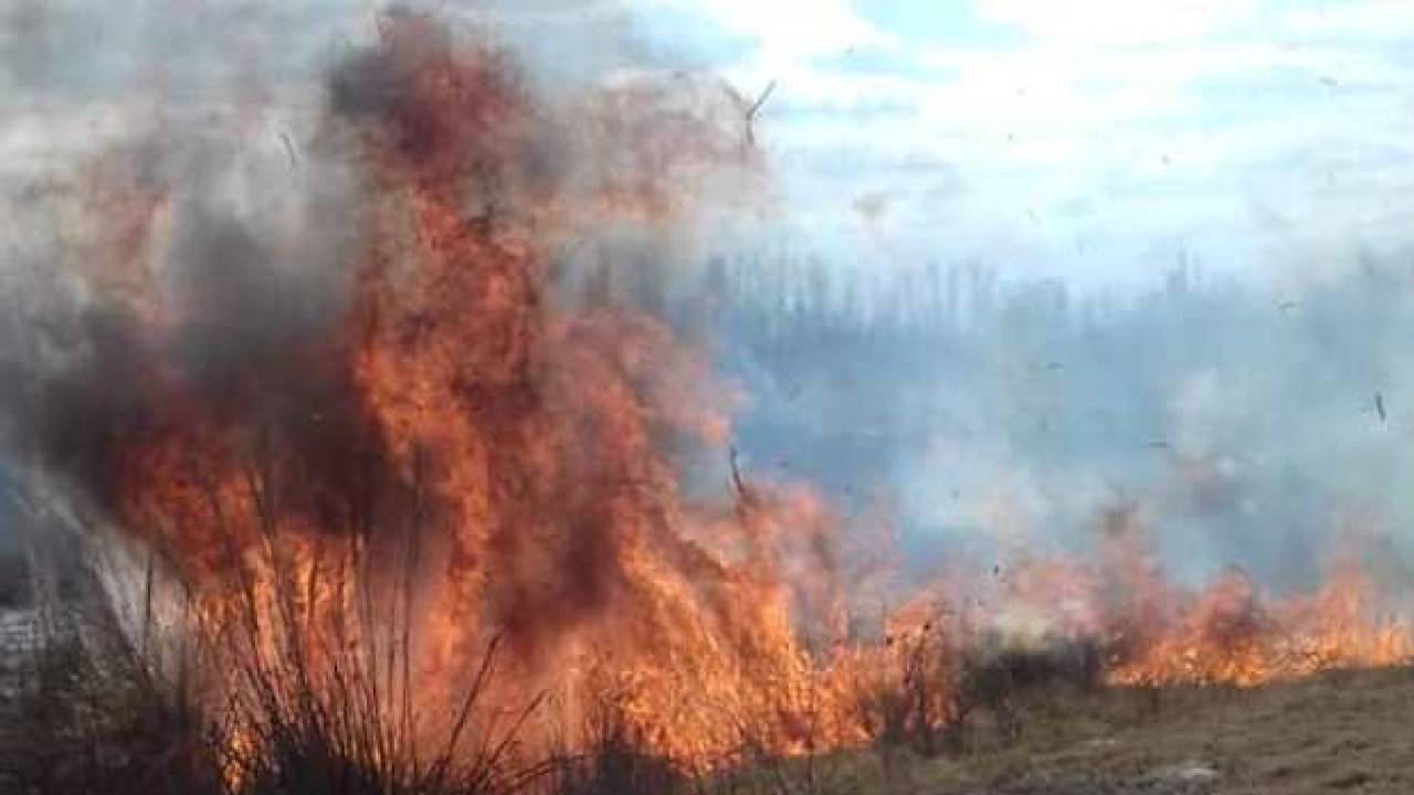 Dos incendios causan estragos en San Carlos