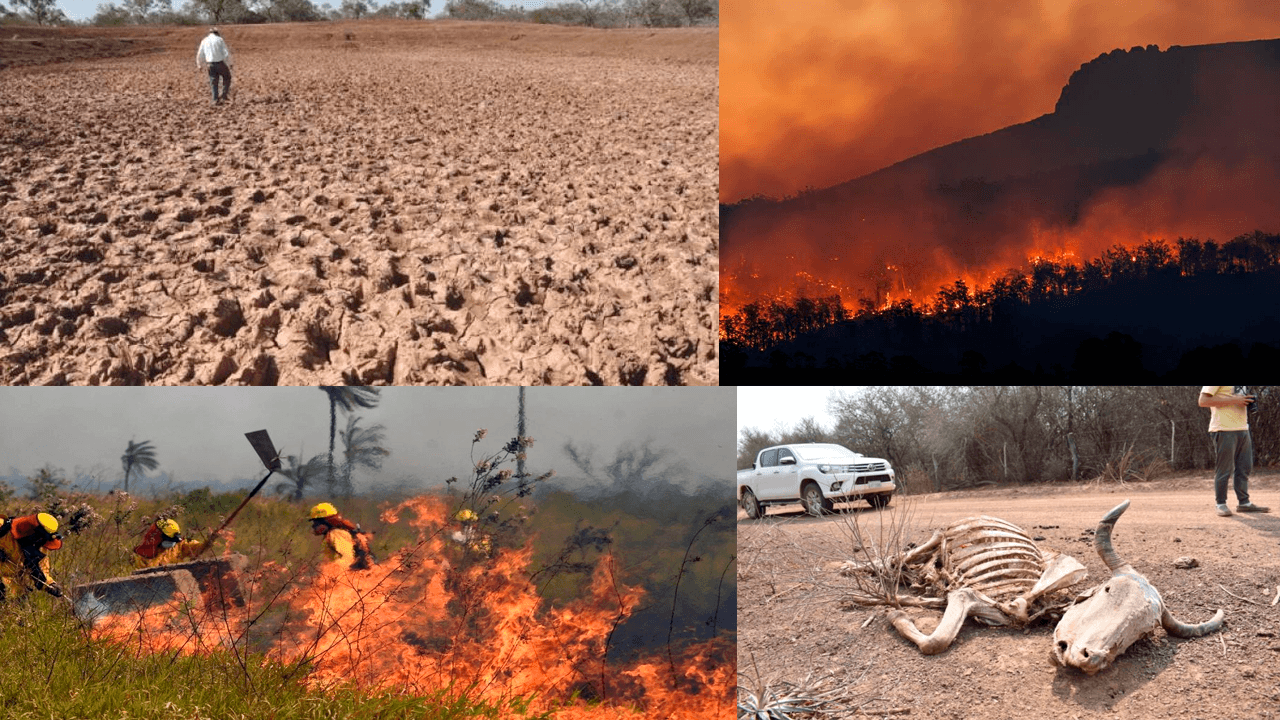 Reunión del COED: Estrategias en marcha para enfrentar sequías e incendios forestales en el departamento