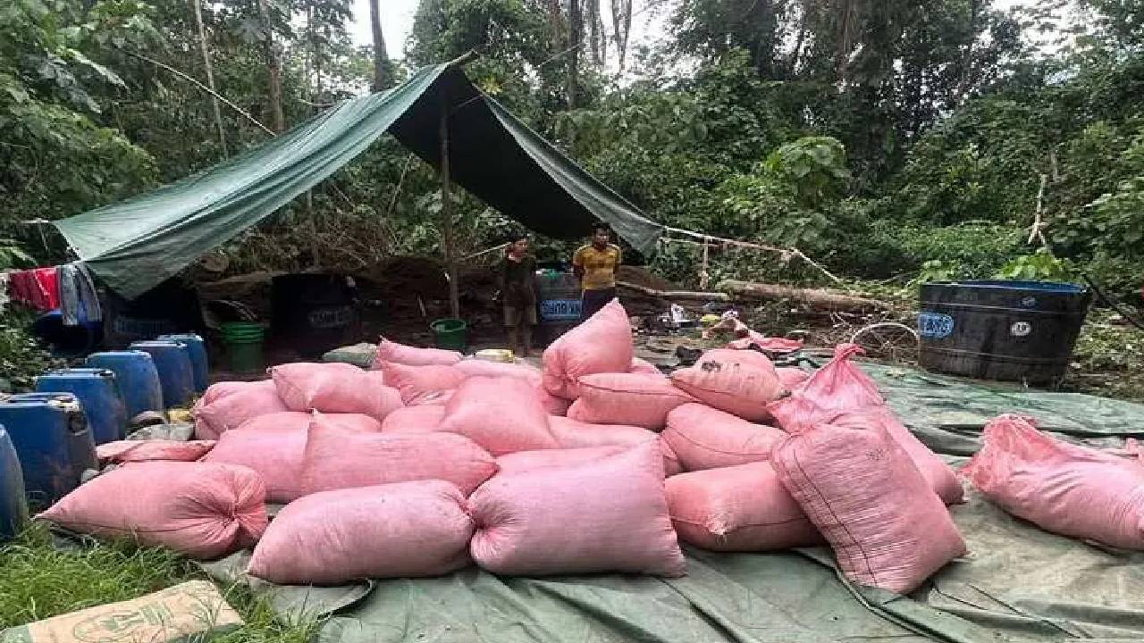 Destrucción de Dos Fábricas de Cocaína en el Chapare y Aprehensión de Sospechosos
