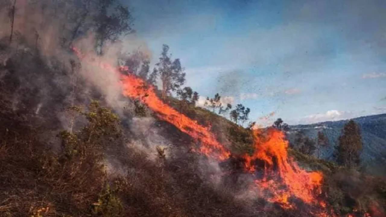 Hay incendios forestales en tres municipios de La Paz 