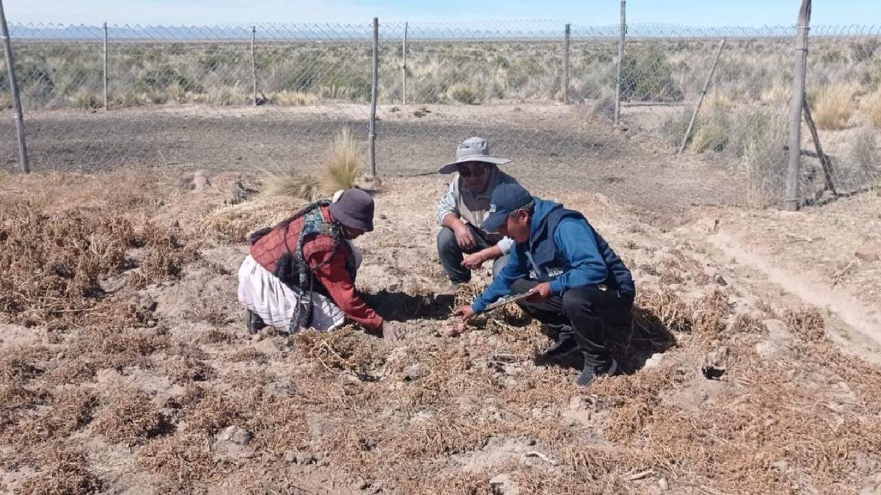 Situación de Sequía en Bolivia Afecta a 4.520 Comunidades