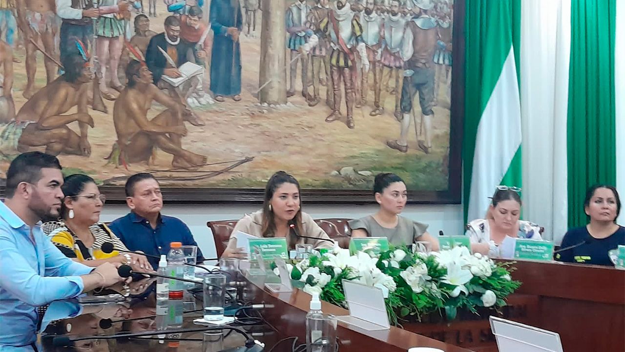 "Municipio aprueba Ley de Emergencia para combatir incendios forestales y proteger el medio ambiente"