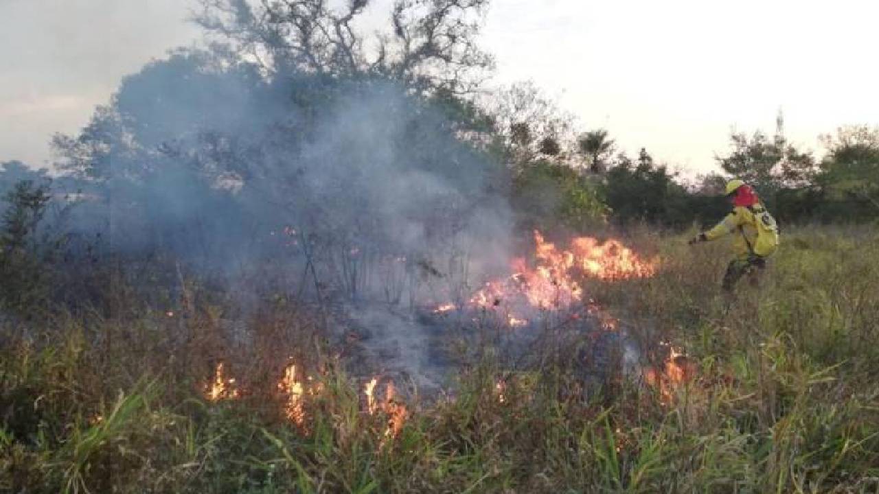 Respuesta del Presidente Luis Arce a las Críticas sobre la Gestión de los Incendios