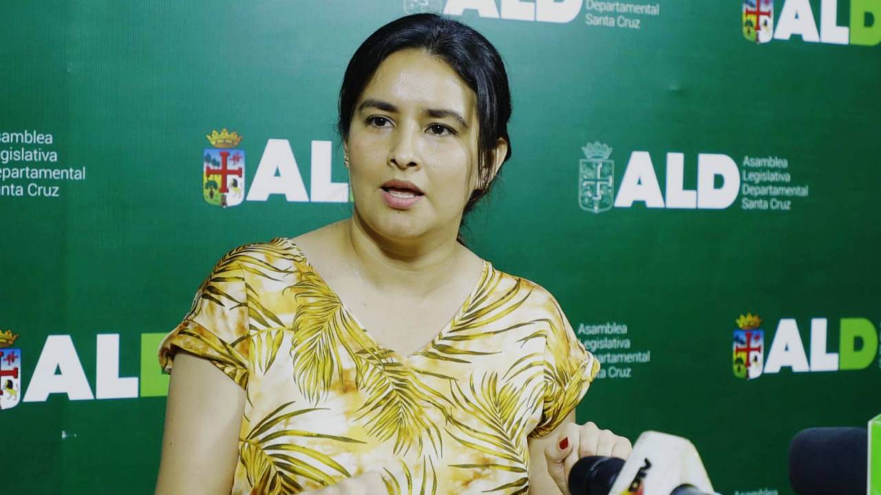 Asambleísta Aguirre insta a investigar grupos armados en lucha contra incendios en Santa Cruz