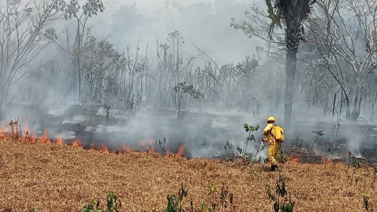 Defensoría insta al Estado a abrogar normas que promueven incendios en el país