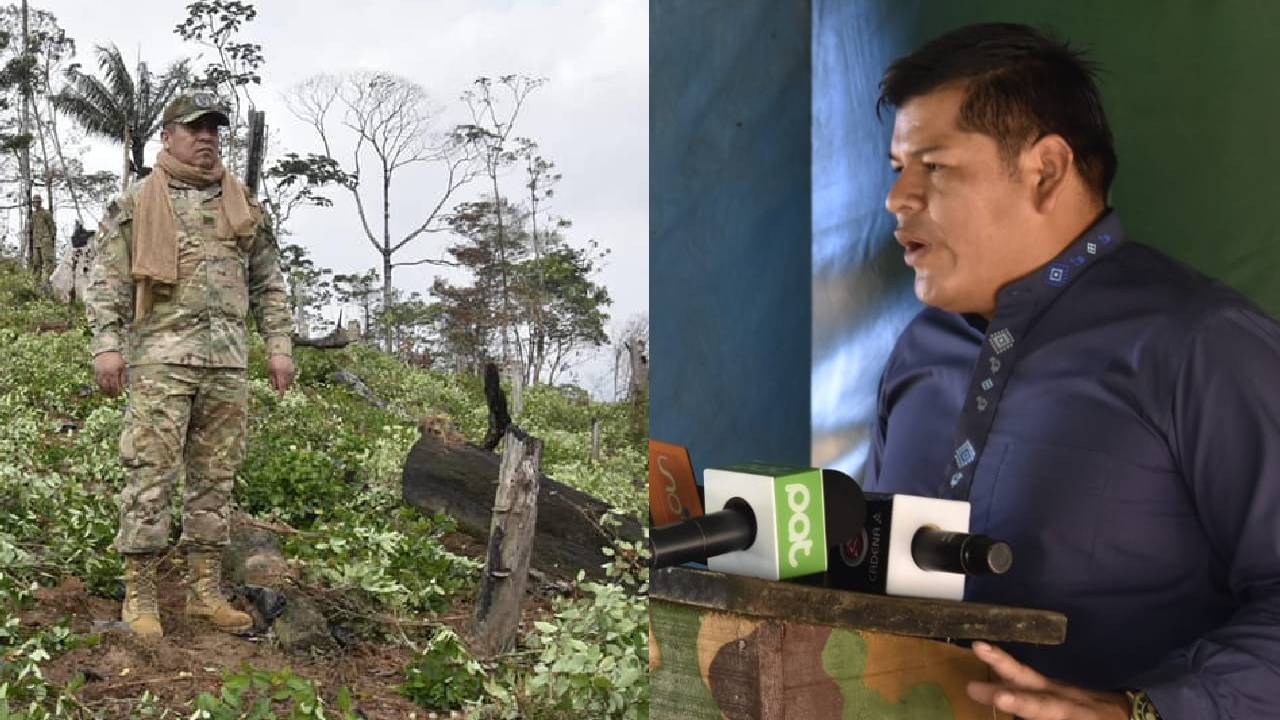 Iniciaron la erradicación de cultivos de Coca en el Parque Nacional Amboró 