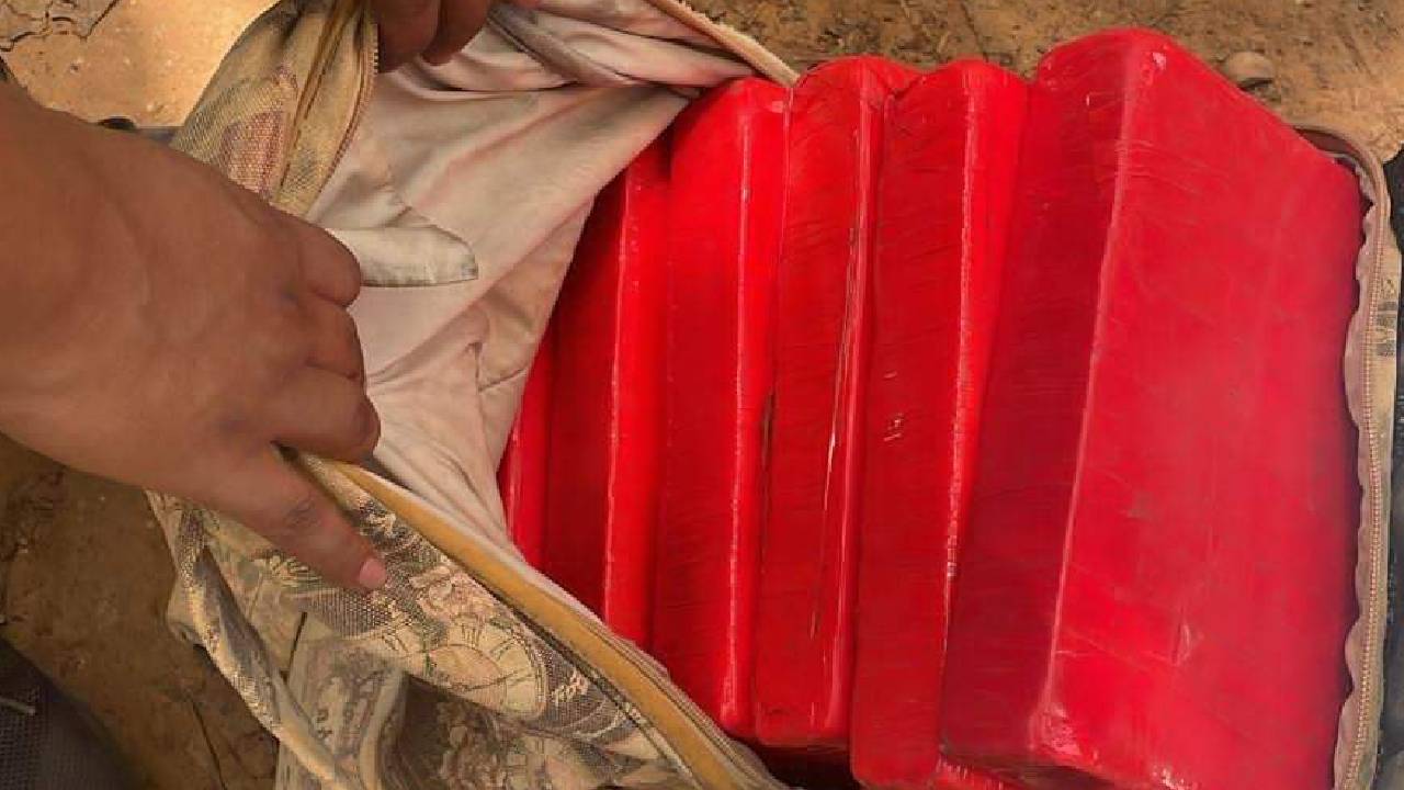 Operativo Policial en la Carretera Cobija-San Antonio: Incautación de Cocaína y Aprehensiones