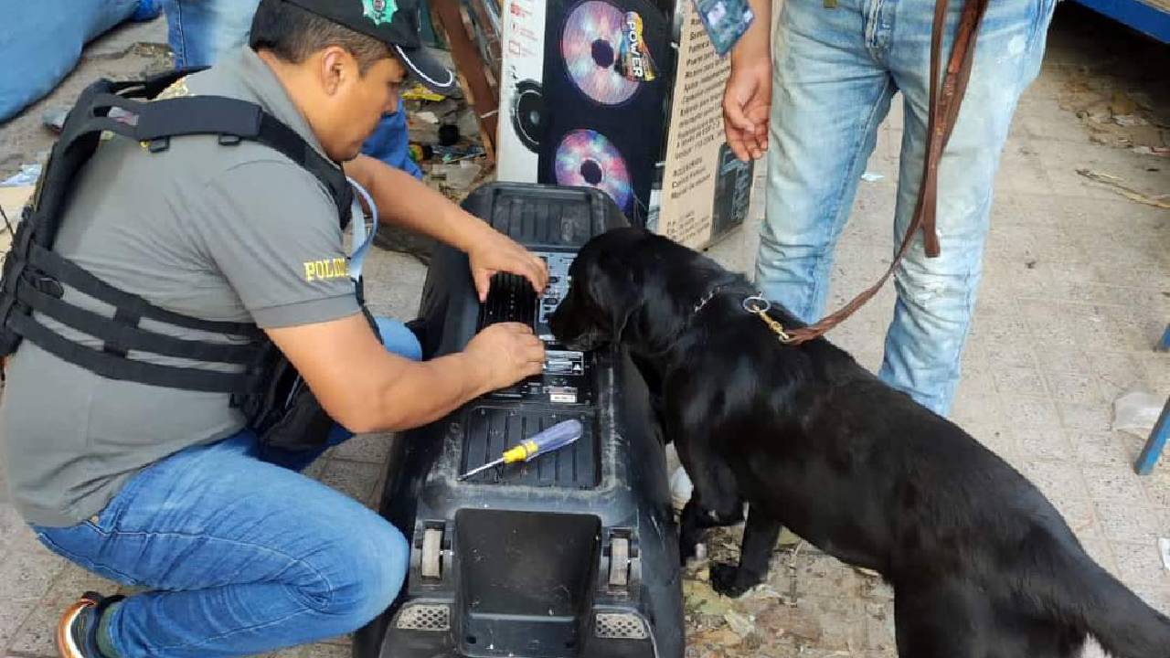 Budy, el Perro Antidrogas, Descubre Importante Carga de Marihuana en la Terminal Bimodal de Santa Cruz